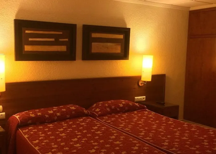 Masa International Torrevieja