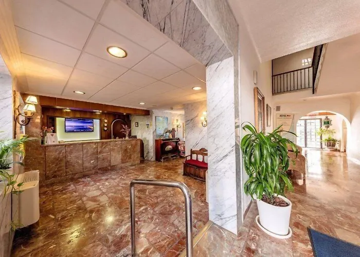 Hotel Masa International