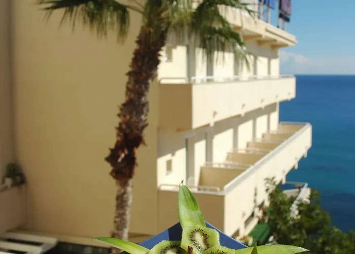 Masa International Hotell Torrevieja