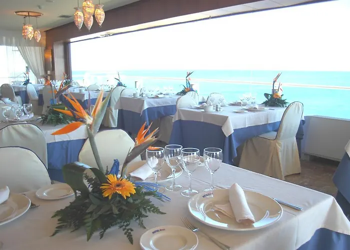 Masa International Torrevieja